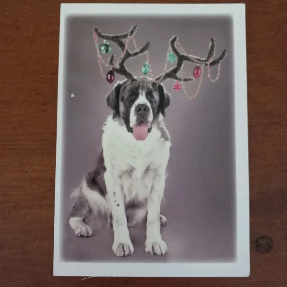 American Greetings Dog & Cat Pet Themed Christmas Holiday Cards No Envelopes
